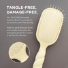 image:imageTELETIES  Detangler Hair Brush for Fine Hair  Detangling Paddle Brush  No PullingBreakage  Gentle Glide Anti Static Bristles  BuiltIn Mirror amp Storage  Removable Cleaner  TanTan