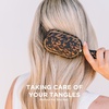 image:imageTELETIES  Detangler Hair Brush for Fine Hair  Detangling Paddle Brush  No PullingBreakage  Gentle Glide Anti Static Bristles  BuiltIn Mirror amp Storage  Removable Cleaner  TanTortoise