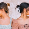 image:imageTELETIES  Medium Hair Clip  Strong Grip Bendable Teeth Comfortable Curved Design  Ideal for MediumThick Hair  For All Hair Textures  Blonde TortoiseJet Black